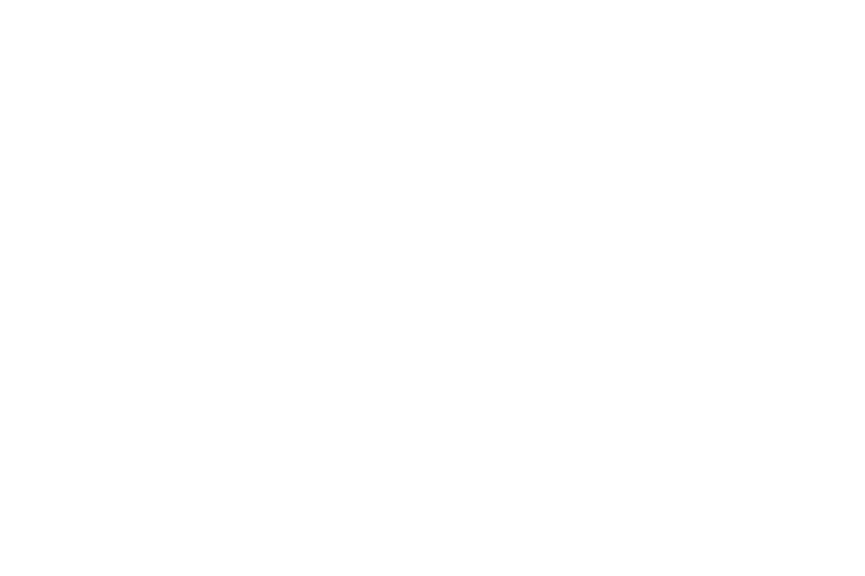 オフィシャルブログ